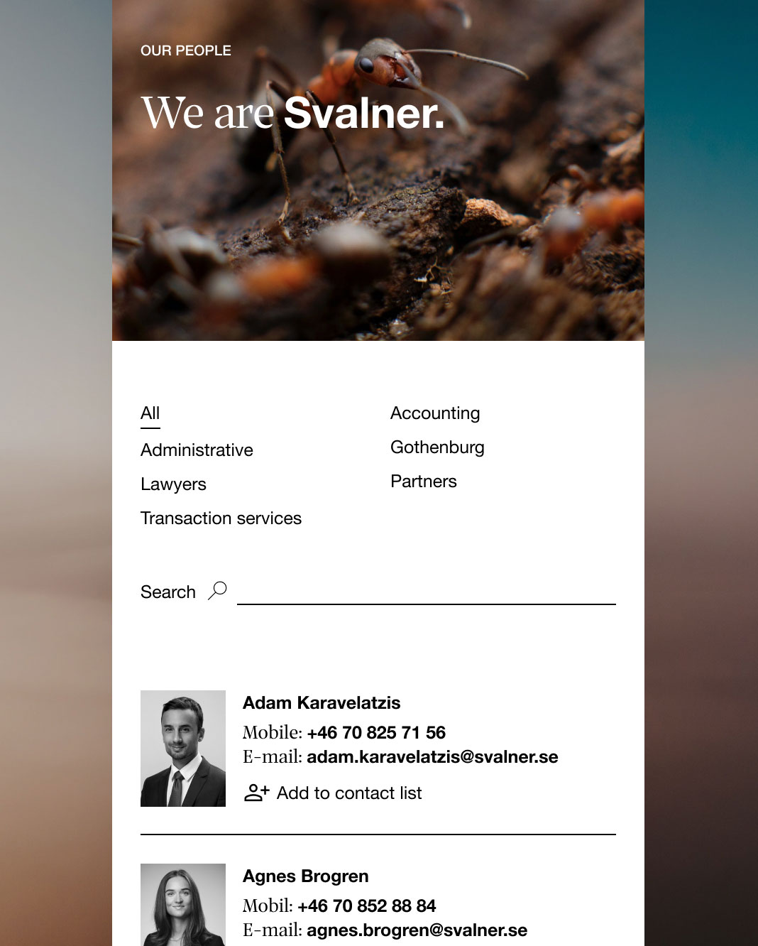 svalner-search-functionality